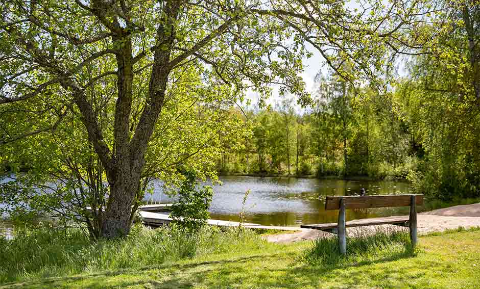 Sittbänk med vy över vattnet