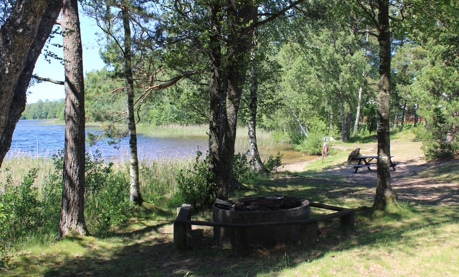 Grönyta vid Skäremosjön