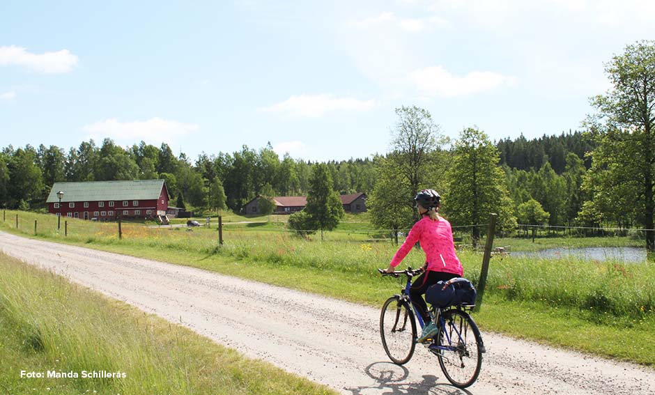 Cyklist på grusväg i landskap.